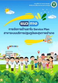 แนวทางการจัดการด้านยาใน Service Plan